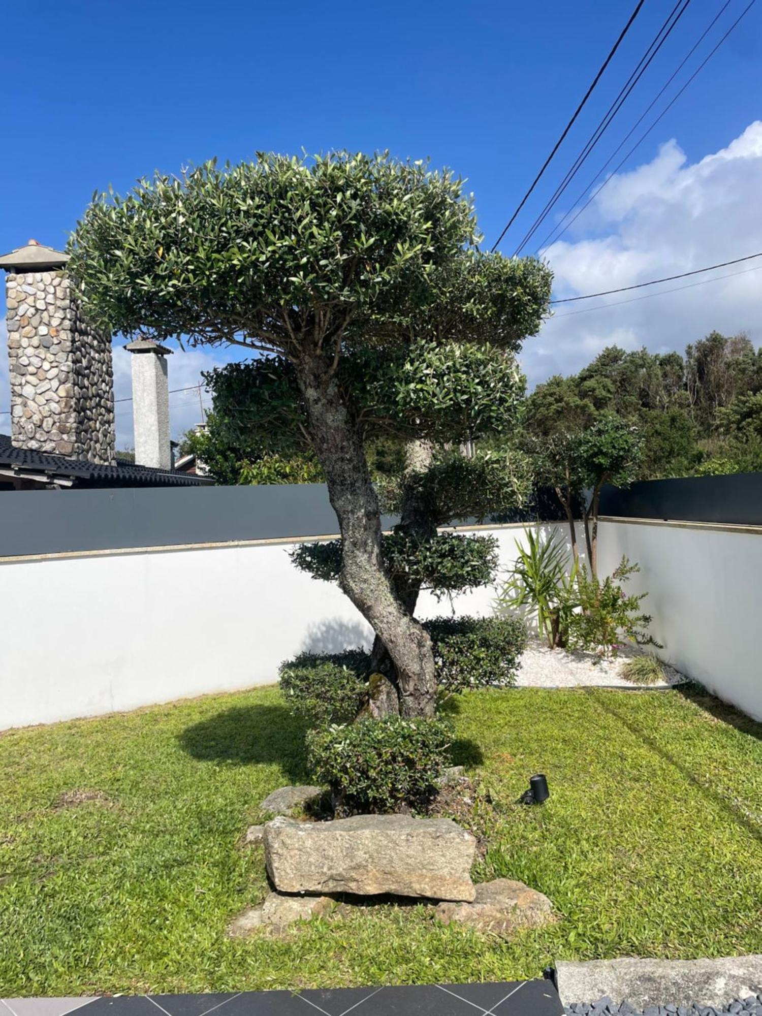 Villa - Ancora - 300 Metres De L'Ocean Vila Praia de Ancora Ngoại thất bức ảnh